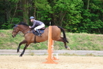 Class 4: Senior British Novice/90cm open portfolio