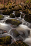 Padley Gorge, Peak District
