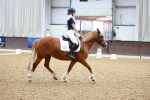 SBM_008051