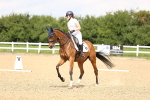 SBM_001371