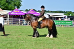SBM_09352