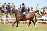 3E7A8929