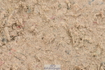 230511A-133446-00798
