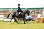 SBM_13341
