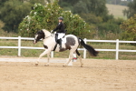 SBM_01590