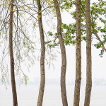 EDGE, INNER BAY - PORT ROWAN
