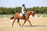 SBM_010258