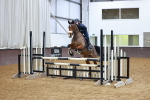 SBM_001644