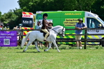 SBM_07759