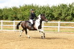 SBM_002778
