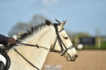 240409A-DSC_9522-02504