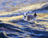 Grey Phalarope riding the waves at Farmoor Reservoir