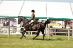 SBM_19244