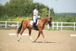 SBM_009478