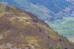 Lords Seat-10