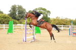 SBM_006991