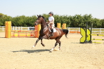 SBM_000333