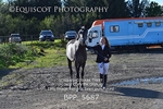 BPP_5687