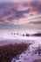 Portslade Sunset