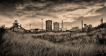 Steel on a Golden Landscape