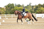 SBM_008731