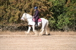 WJ6_7107