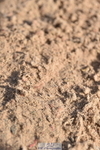 231015A-121712-07945