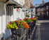 Graham Wiffen - Gosport St - DSC_7124