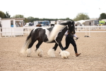 SBM_09299