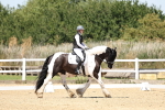 SBM_001581