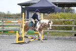 Show Jumping portfolio