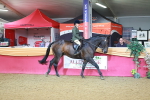 SBM_07633