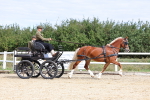 SBM_000714