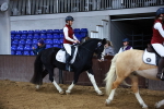 SBM_012909