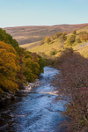 Perthshire portfolio