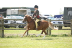 SBM_07709