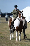 WJ7_2740