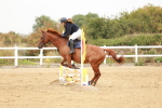 SBM_008047