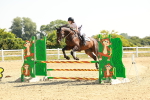 SBM_000390