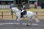 SIAL8349