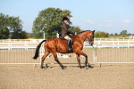 SBM_02231
