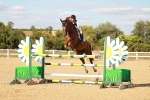 SBM_007893