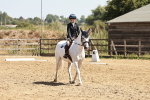 SBM_002779