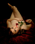 Provocative portfolio