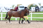SBM_01519