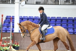 SBM_000582_Class 2 - Senior British Novice - 90cm Open