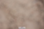 231112A-130047-04326