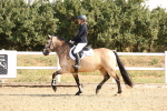 SBM_000645