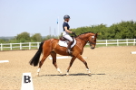 SBM_009019