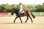 SBM_007496